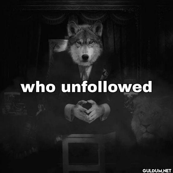 who unfollowed