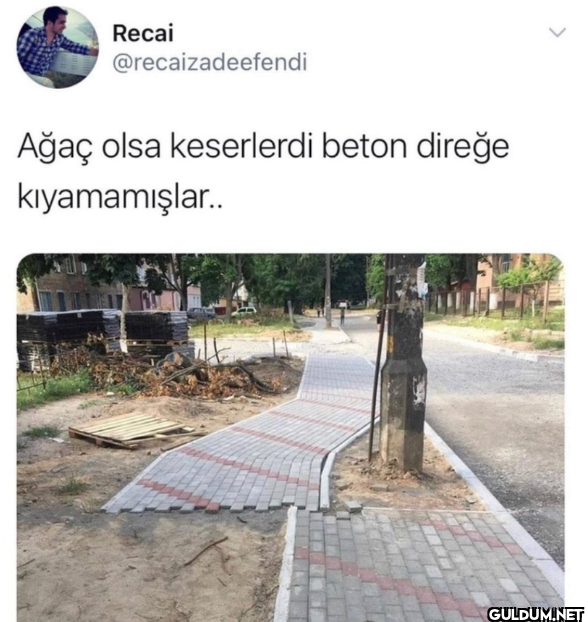 Ağaç olsa keserlerdi beton...