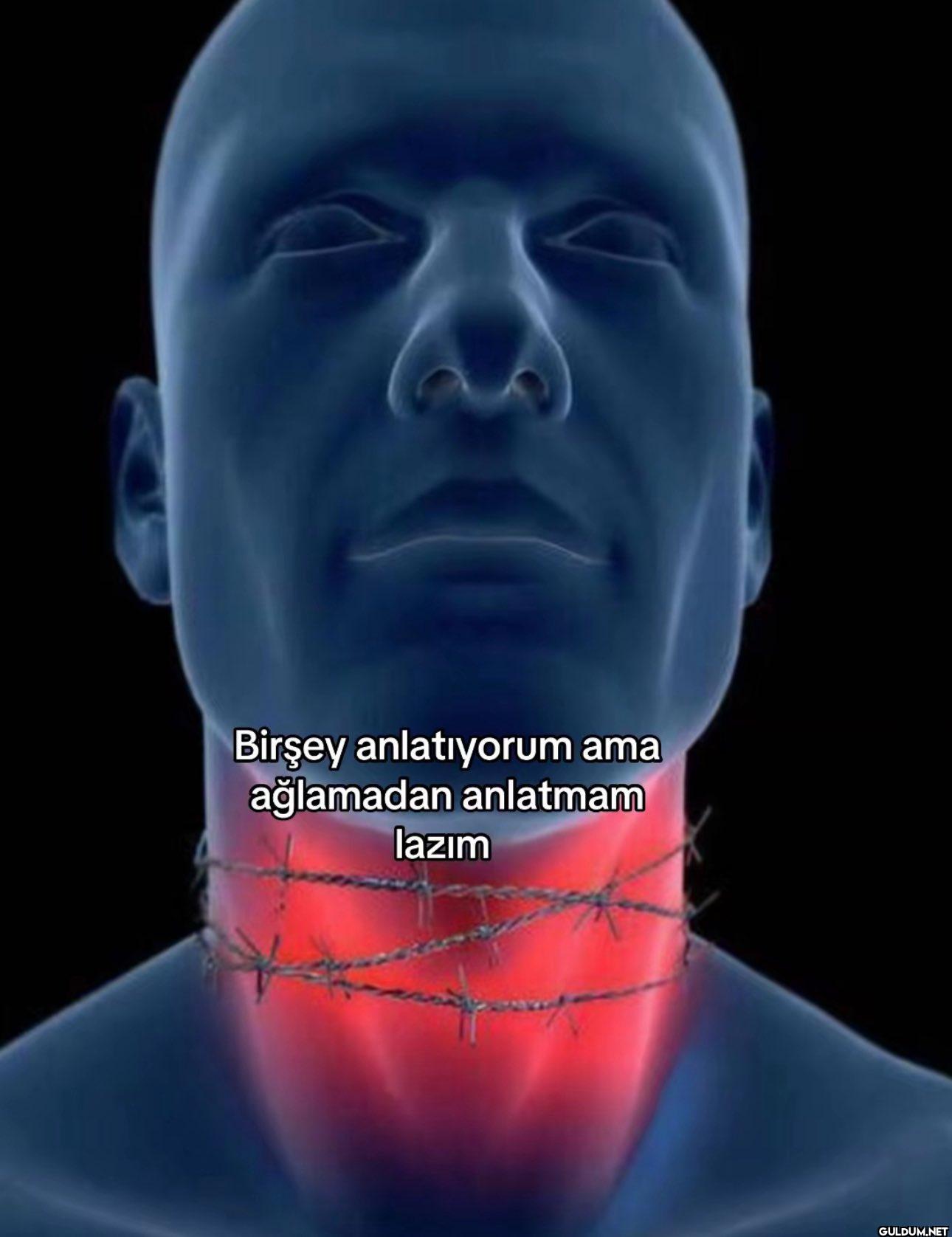 Birşey anlatıyorum ama...