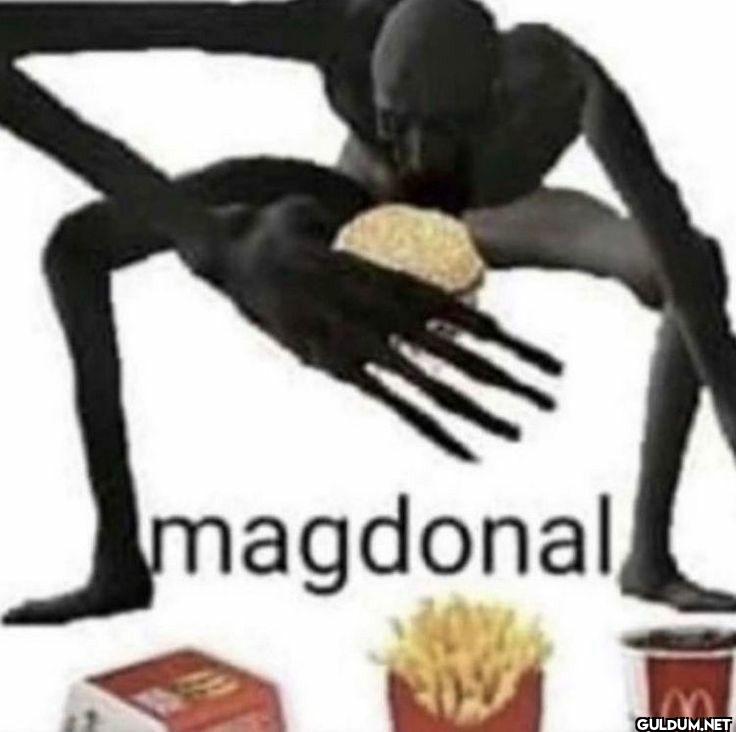 magdonal