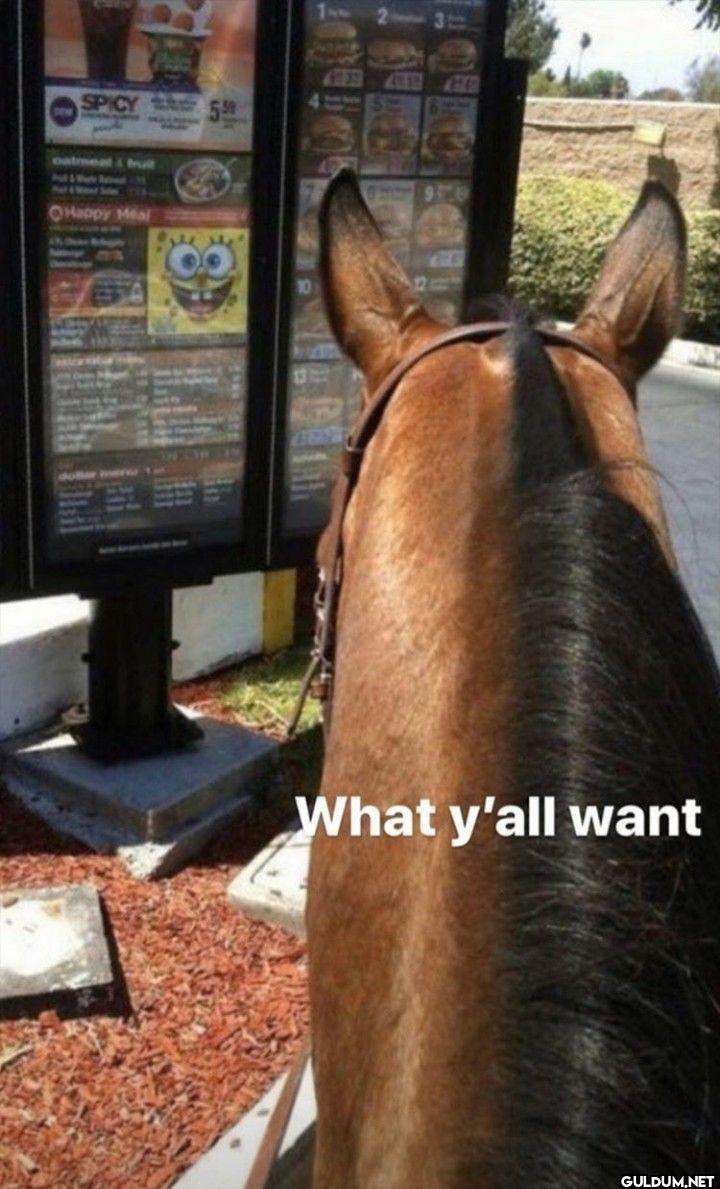 SPICY 5.99 Happy Meal What...