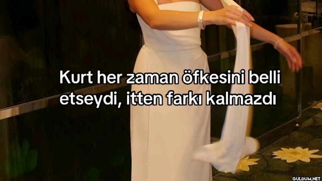 Kurt her zaman öfkesini...