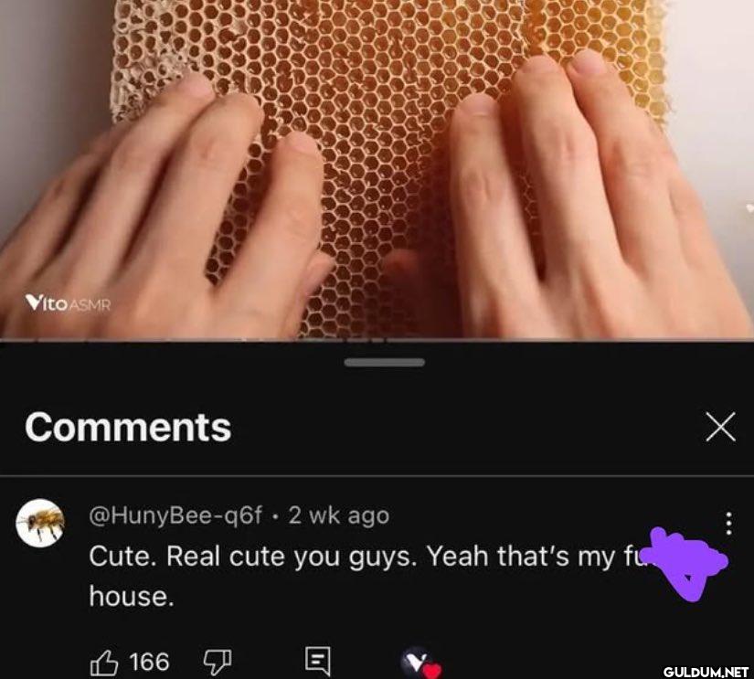 2 wk ago Cute. Real cute...