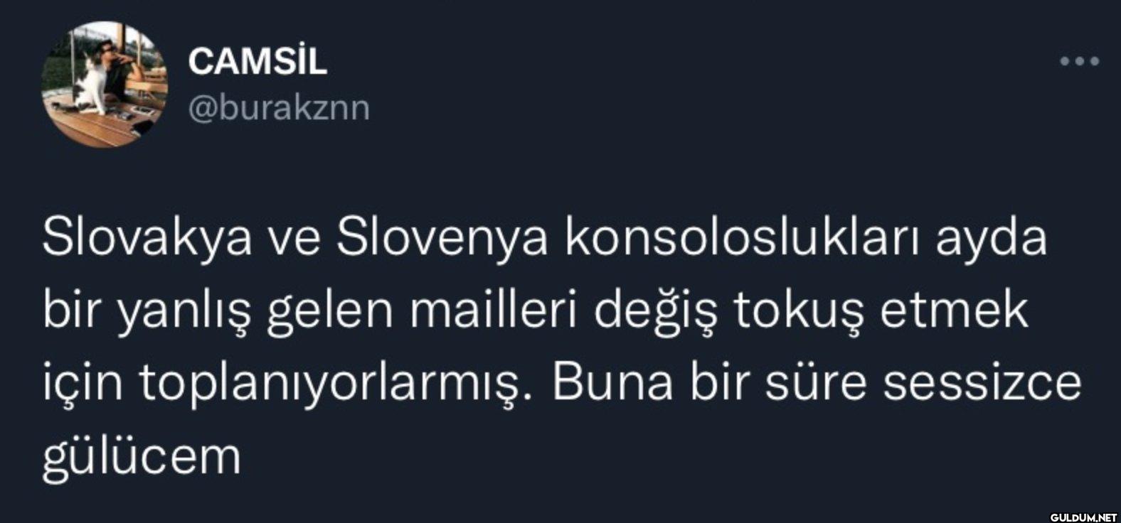 Slovakya ve Slovenya...