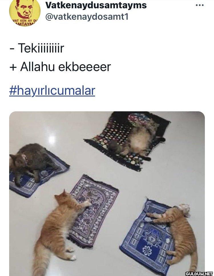 - VAT KEN AY DI' AMTAYM...