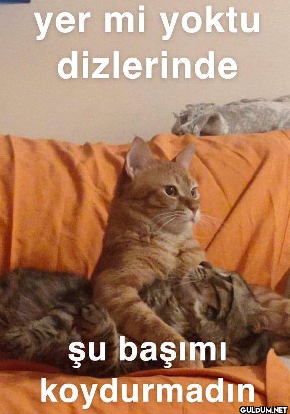 yer mi yoktu dizlerinde şu...