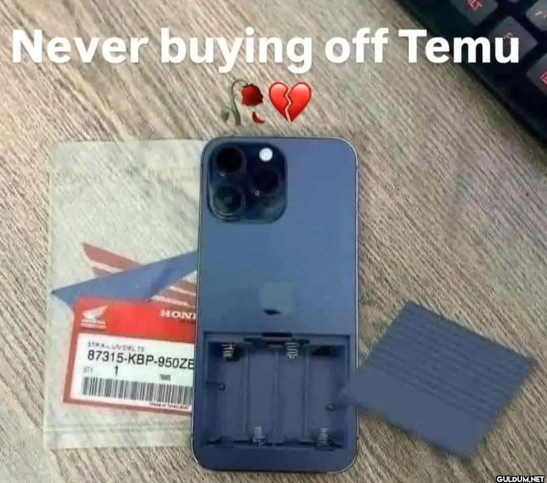 Never buying off Temu