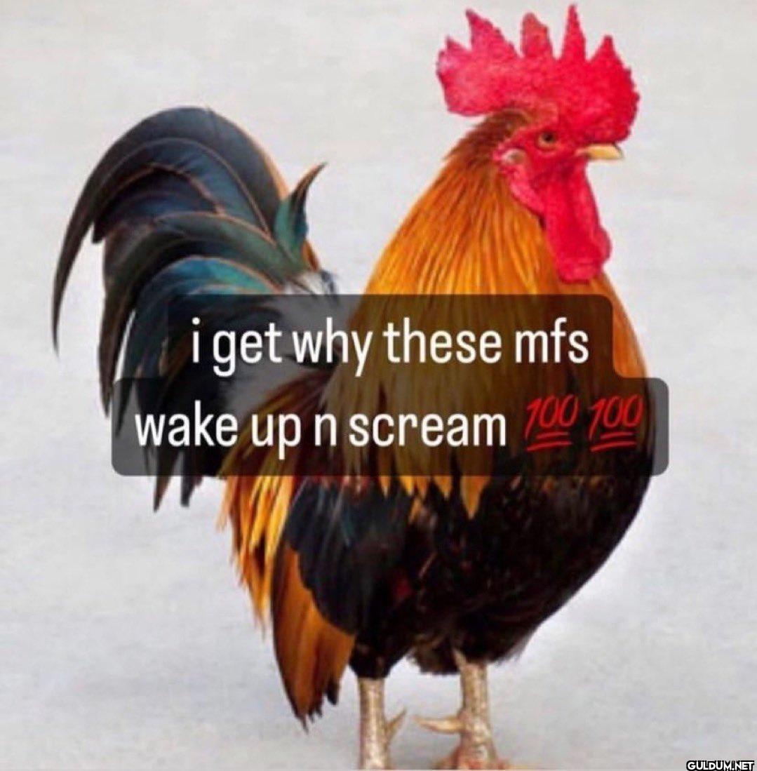i get why these mfs wake...