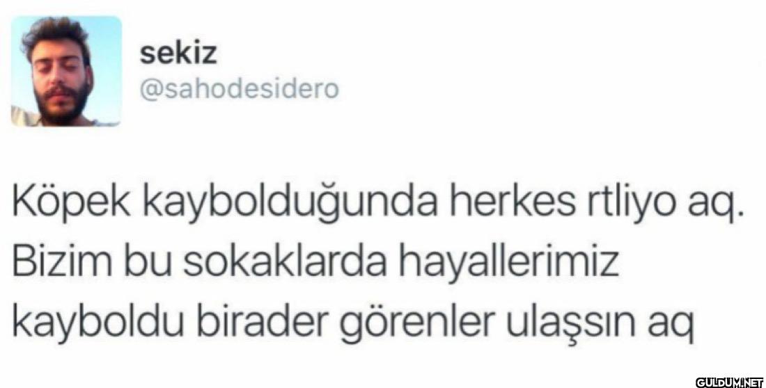 Köpek kaybolduğunda herkes...