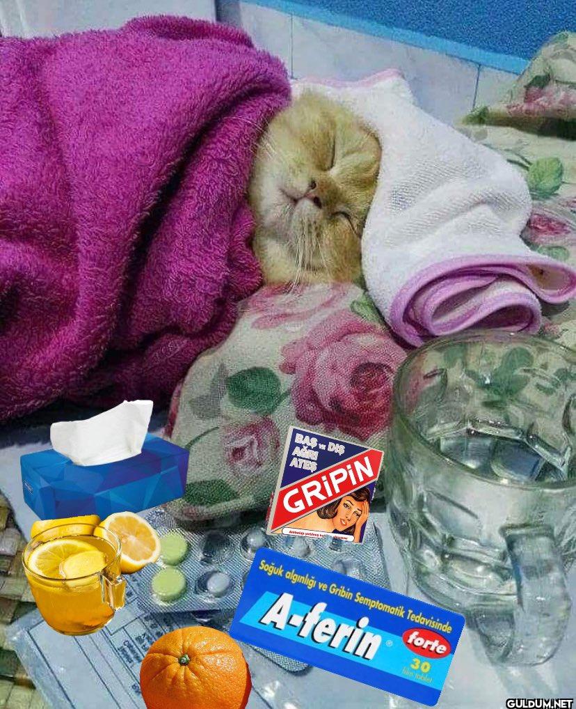 BAS DIS AĞIRI ATES GRIPIN...