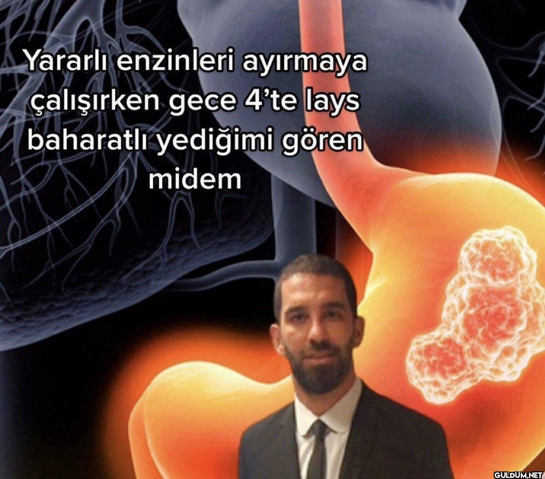 Yararlı enzinleri ayırmaya...