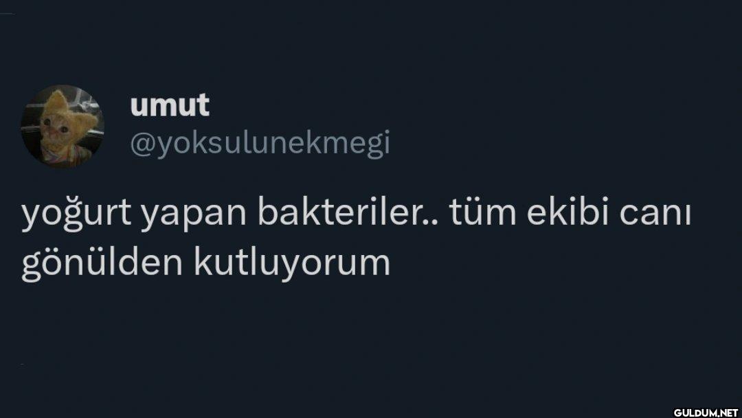 yoğurt yapan bakteriler.....