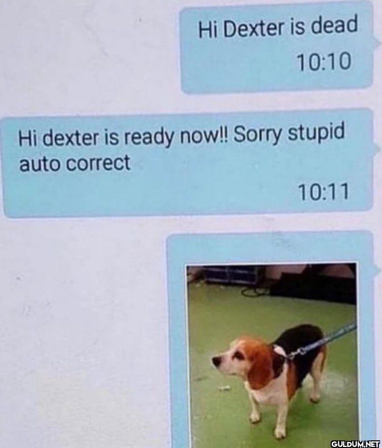 Hi Dexter is dead Hi...