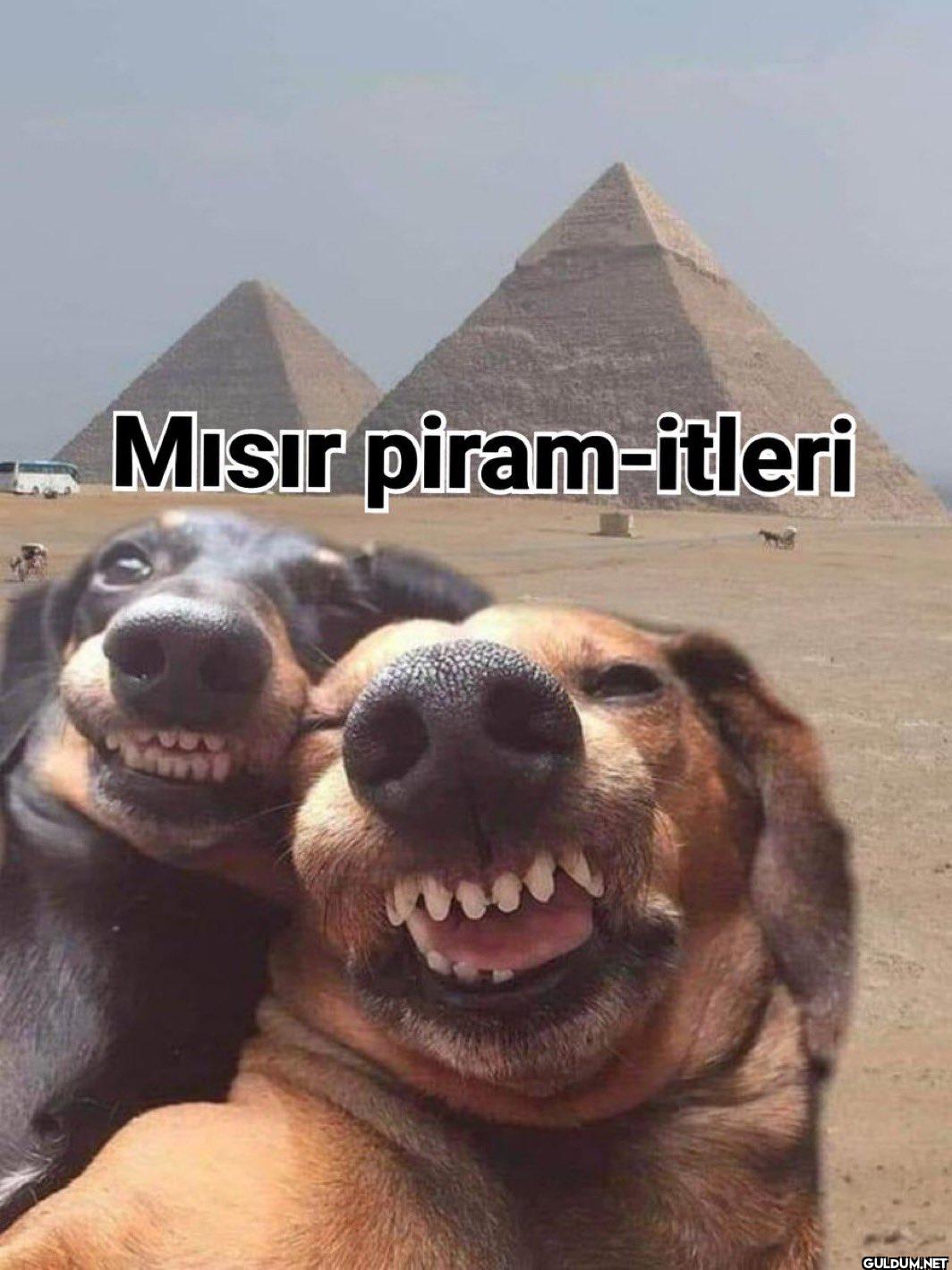 Mısır piram-itleri