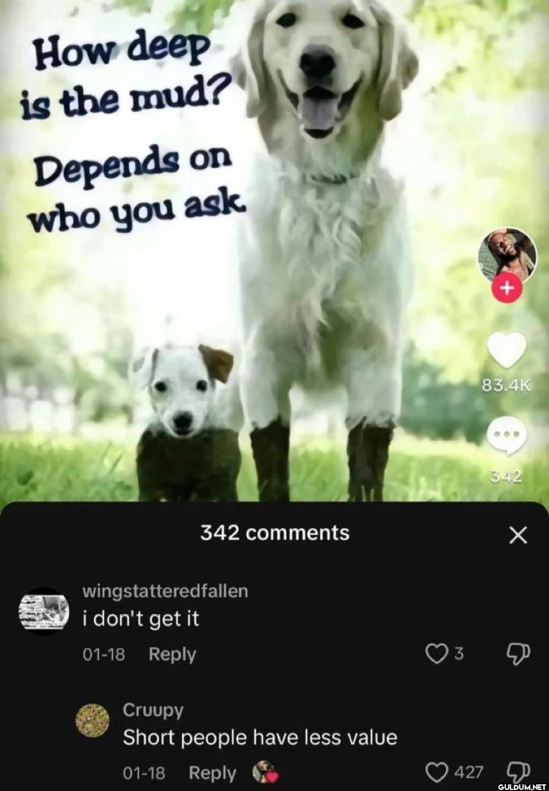 How deep is the mud?...