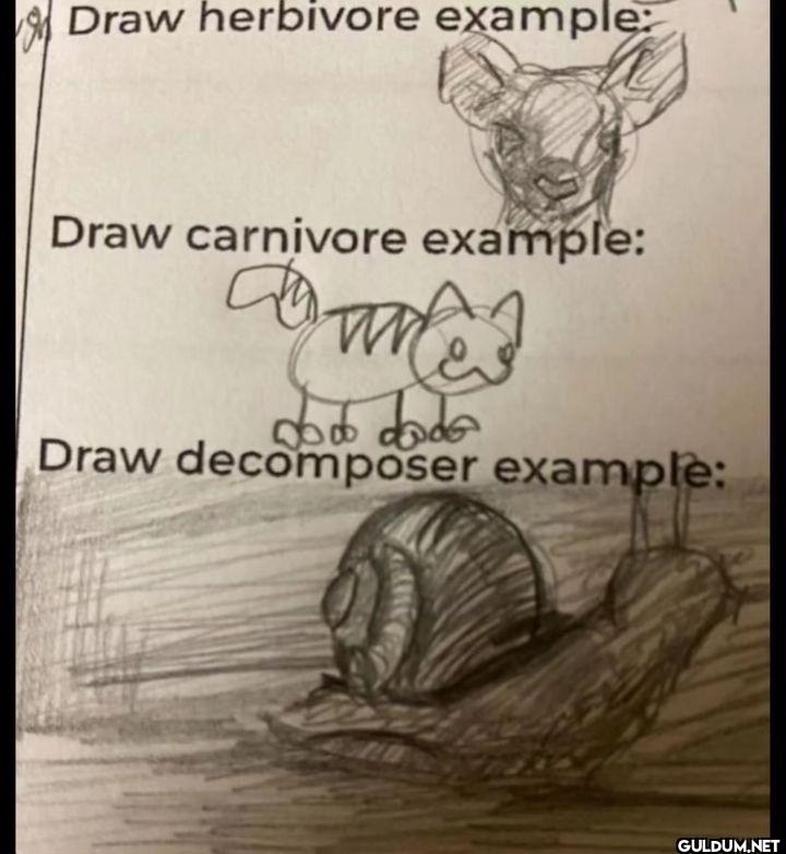 Draw herbivore example:...