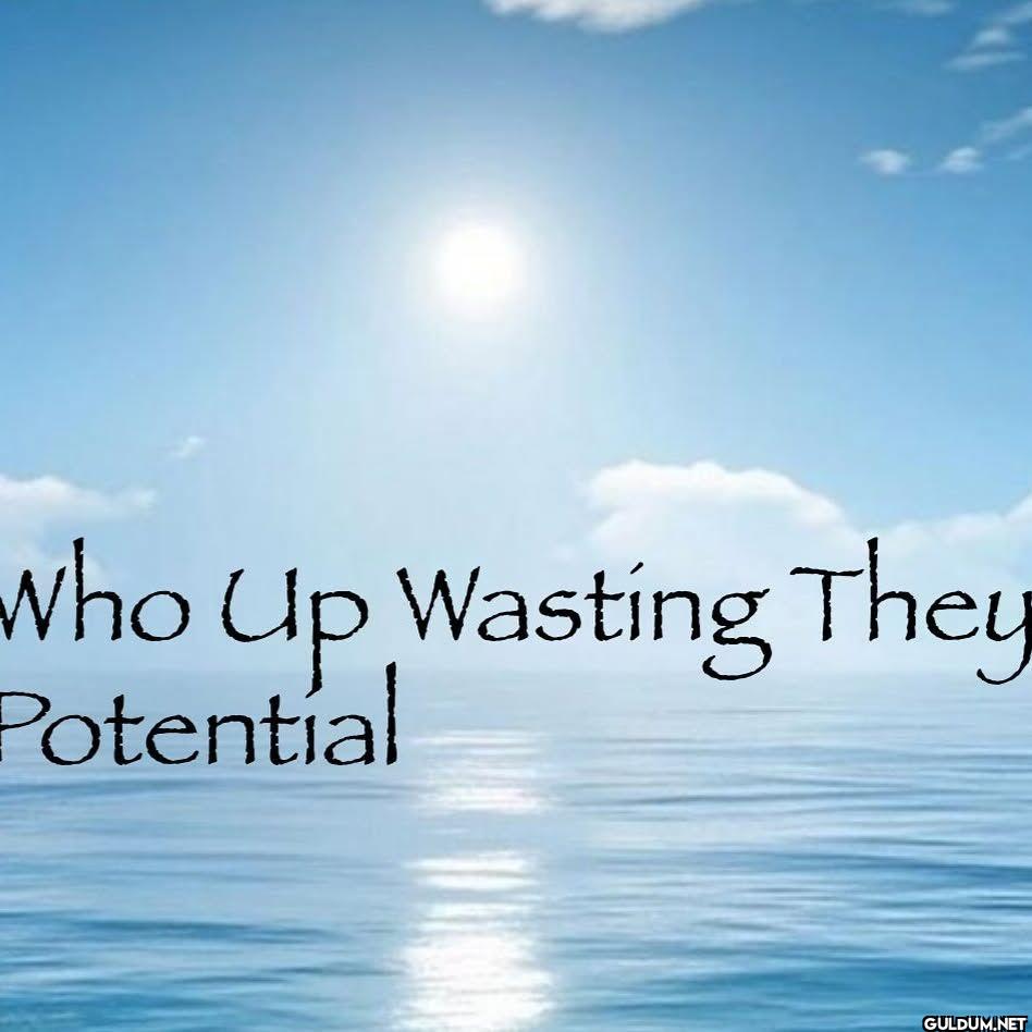 Who Up Wasting They Potential