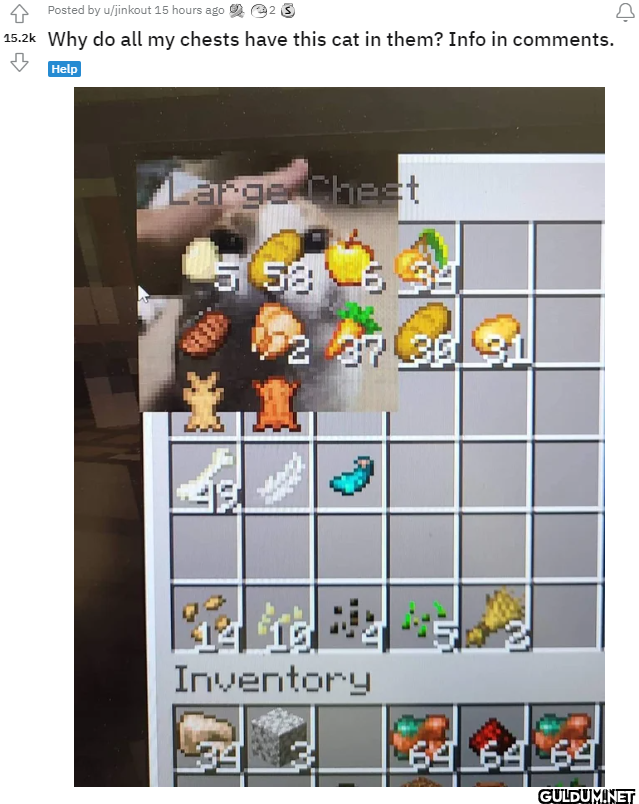 Posted by u/jinkout 15...