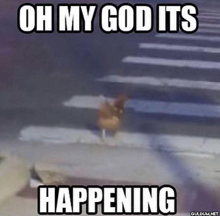 OH MY GOD ITS HAPPENING