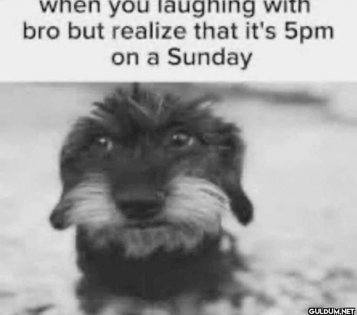 when you laughing with bro...
