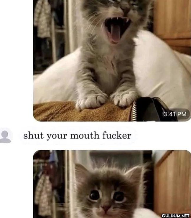shut your mouth fucker