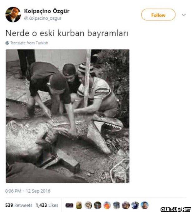 Nerde o eski kurban...