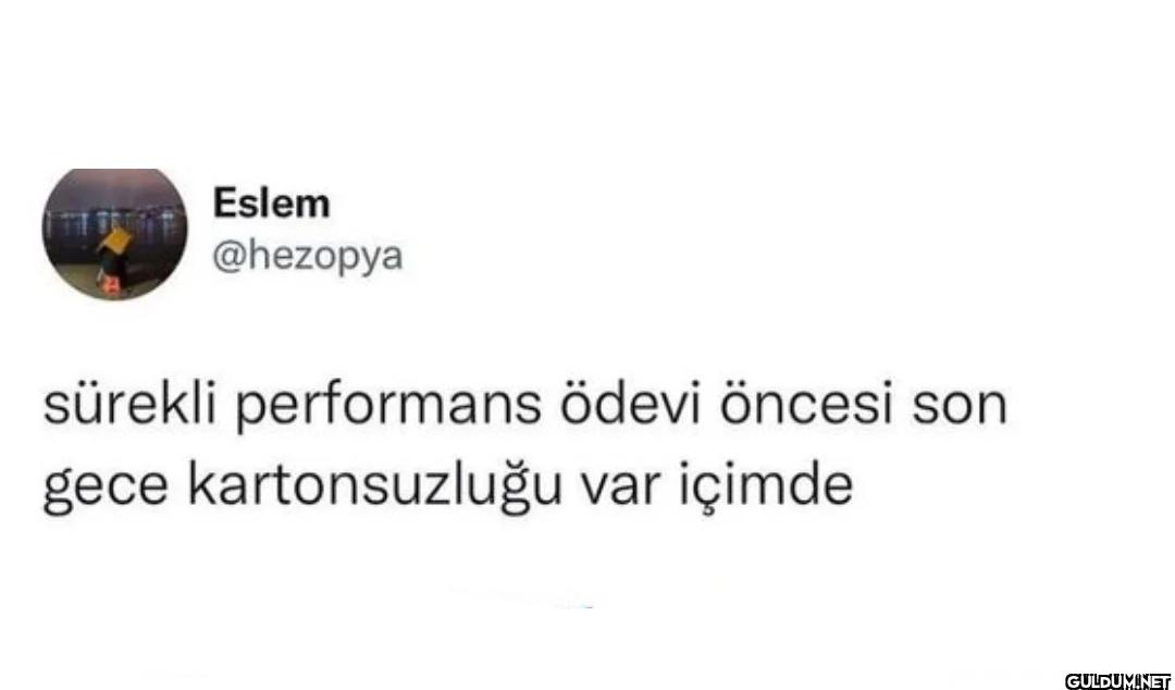sürekli performans ödevi...
