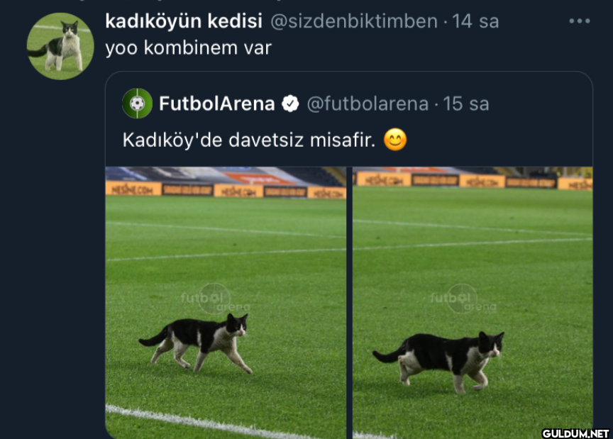 14 sa yoo kombinem var...