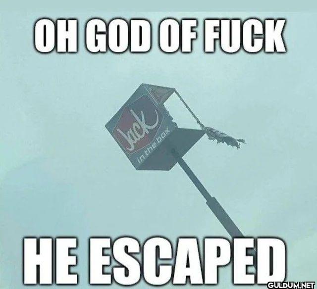 OH GOD OF FUCK HE ESCAPED