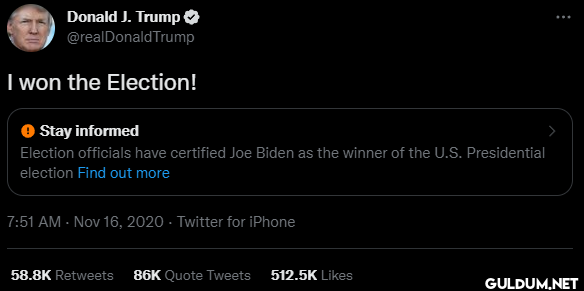I won the Election! ● Stay...