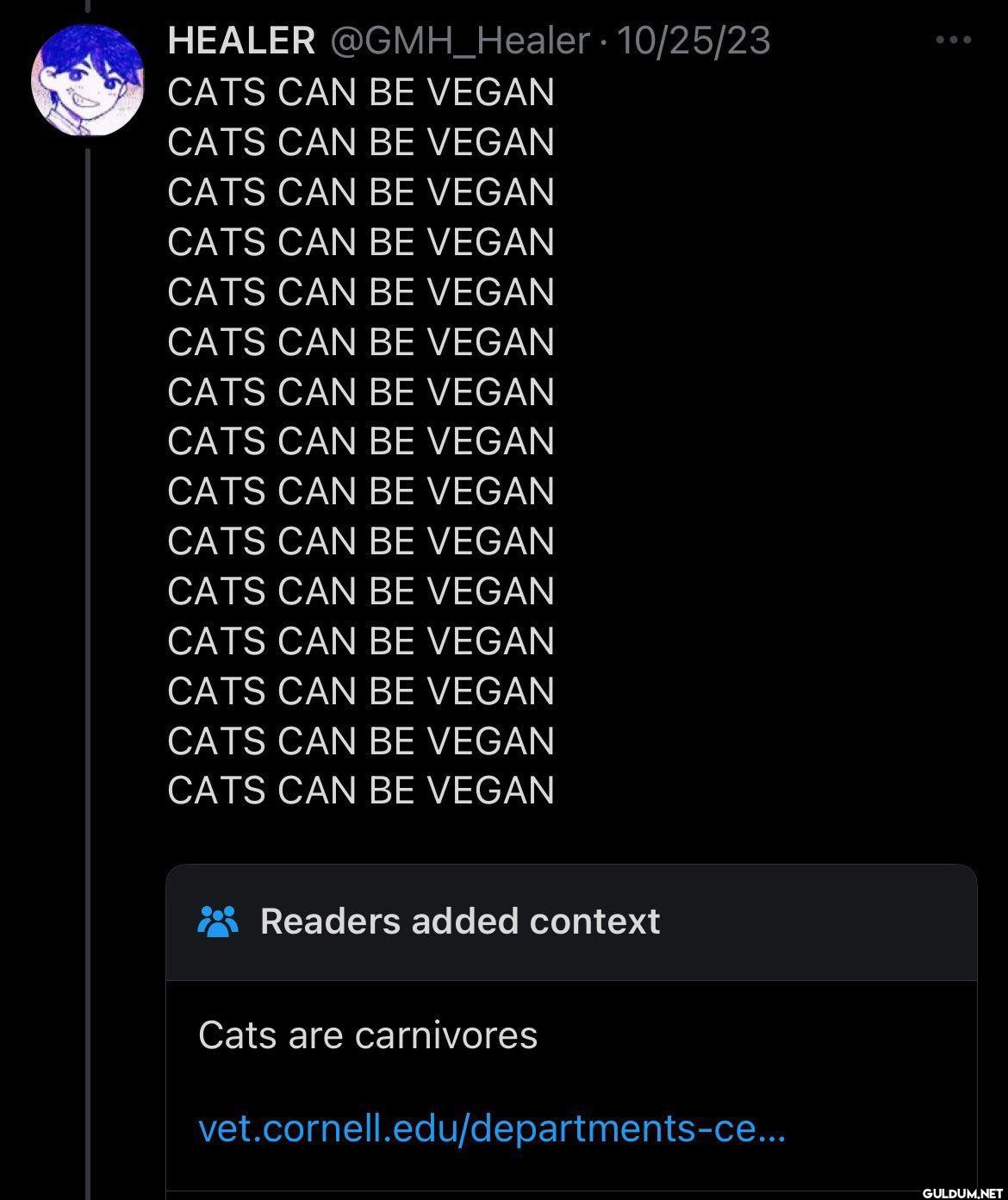 10/25/23 CATS CAN BE VEGAN...