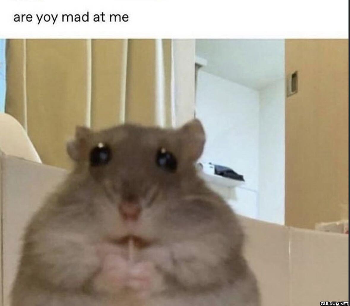 are yoy mad at me