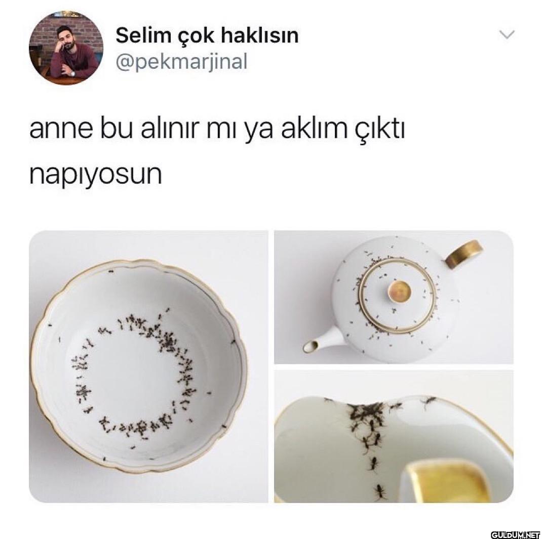 anne bu alınır mı ya aklım...