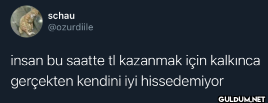 insan bu saatte tl...