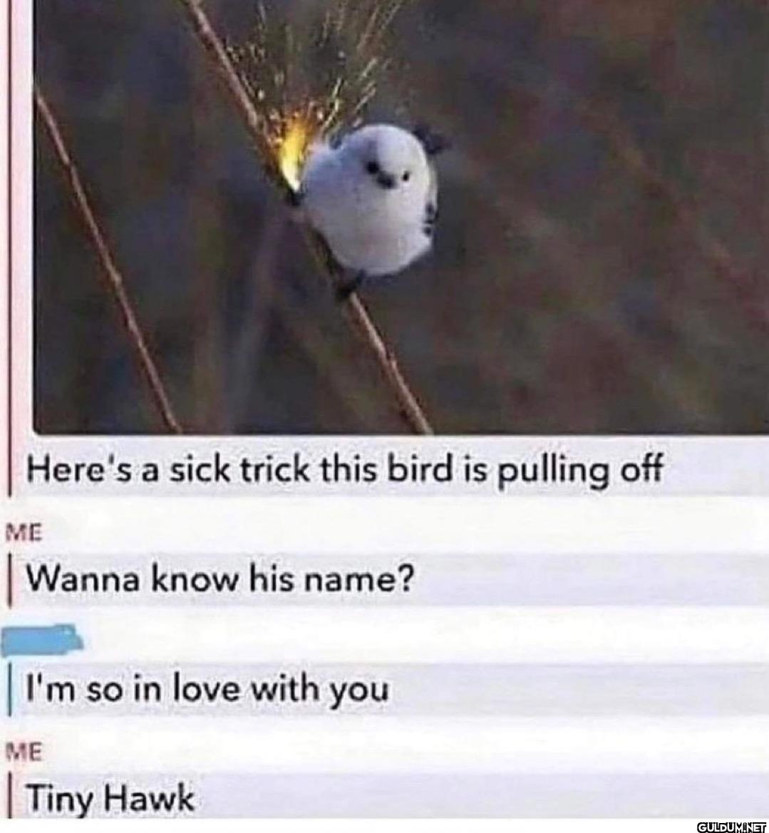 Here's a sick trick this...