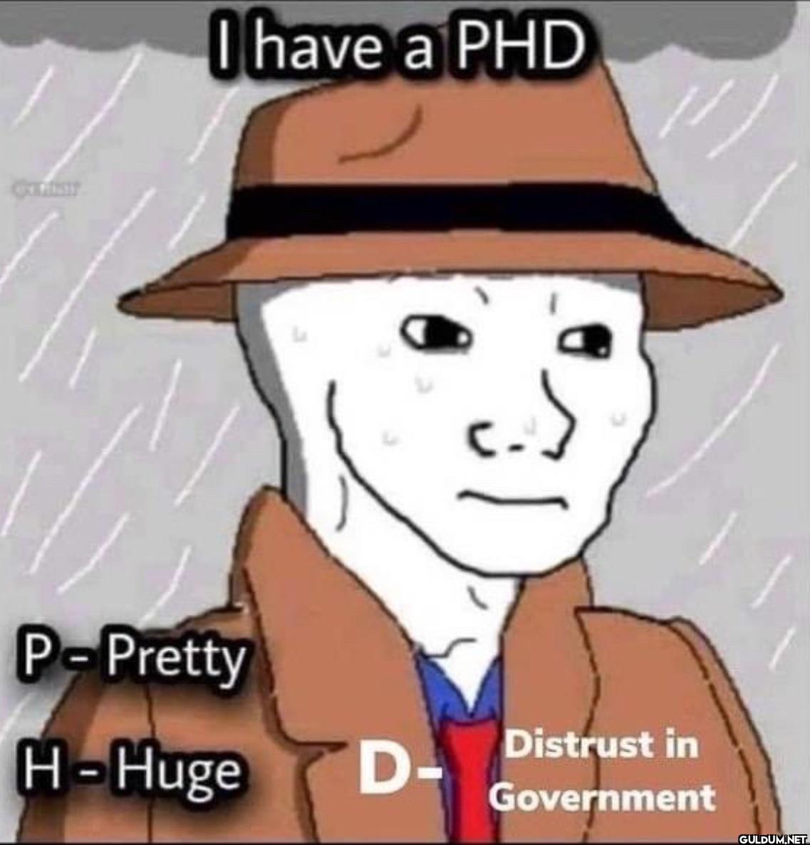 I have a PHD 31 P-Pretty...