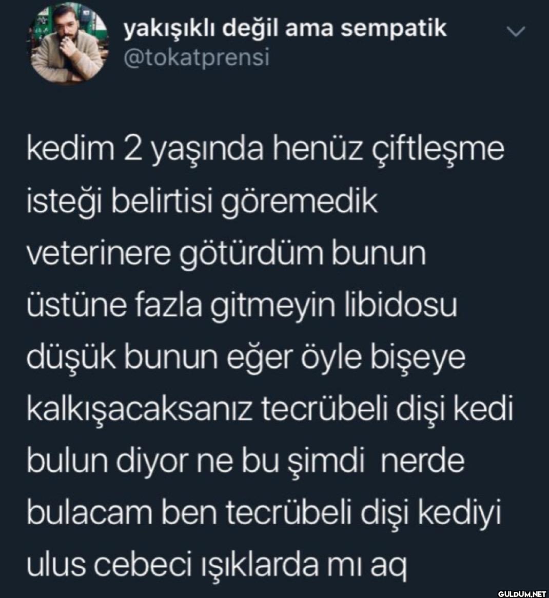 kedim 2 yaşında henüz...