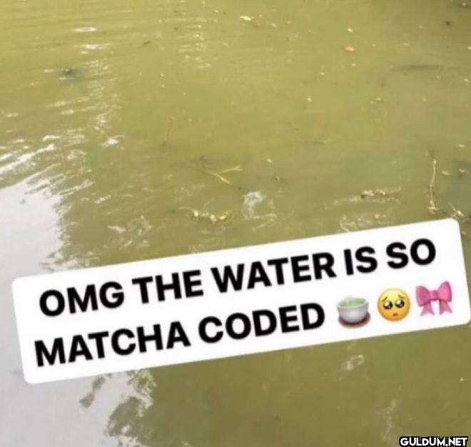OMG THE WATER IS SO MATCHA CODED