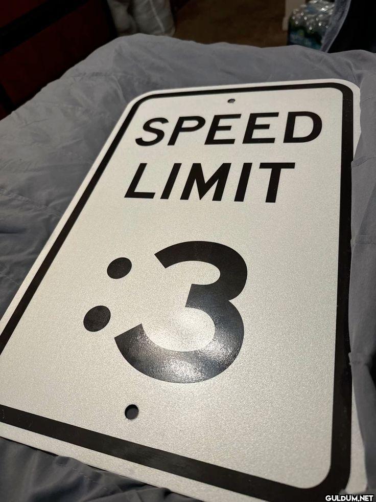 SPEED LIMIT 3