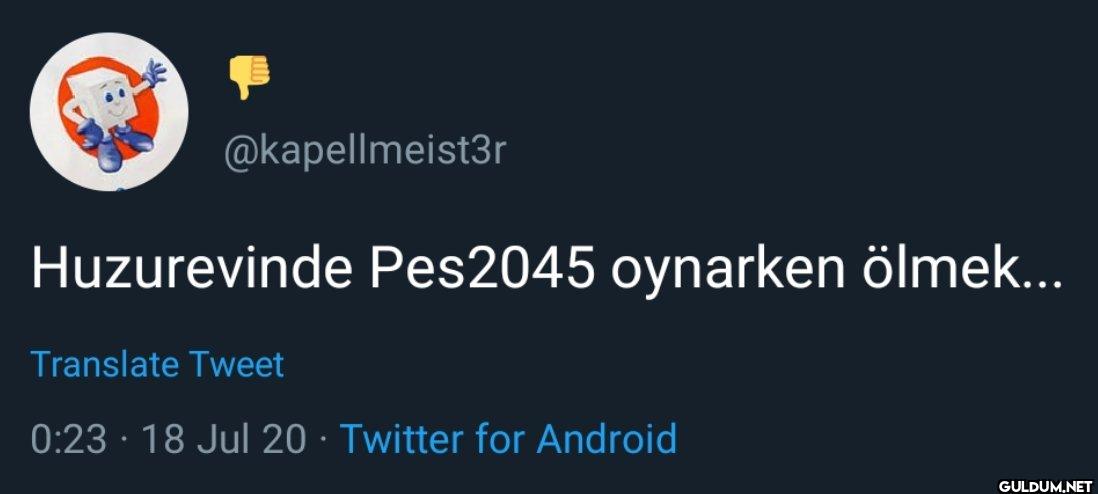 Huzurevinde Pes2045...
