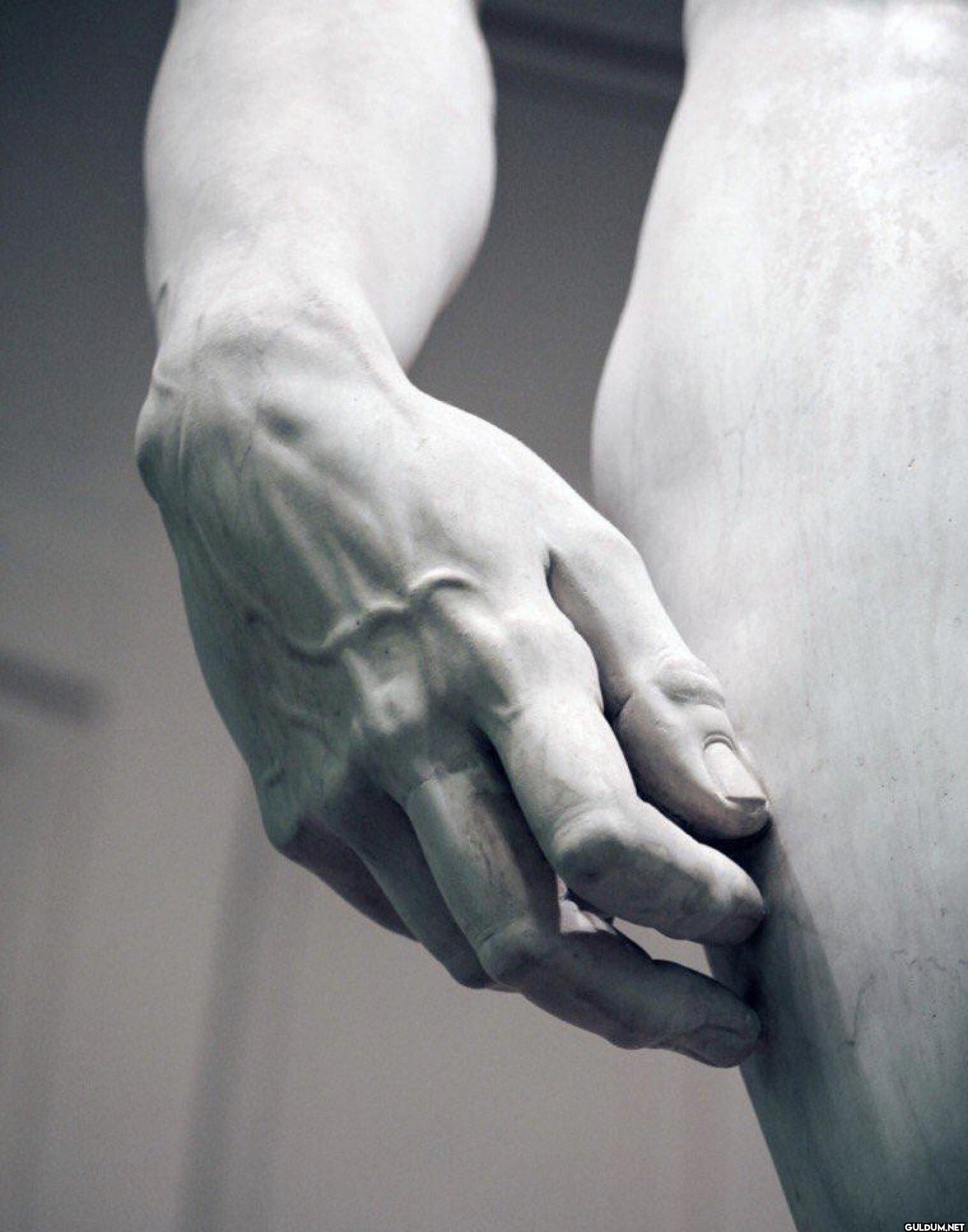 25. The veins on David's right hand