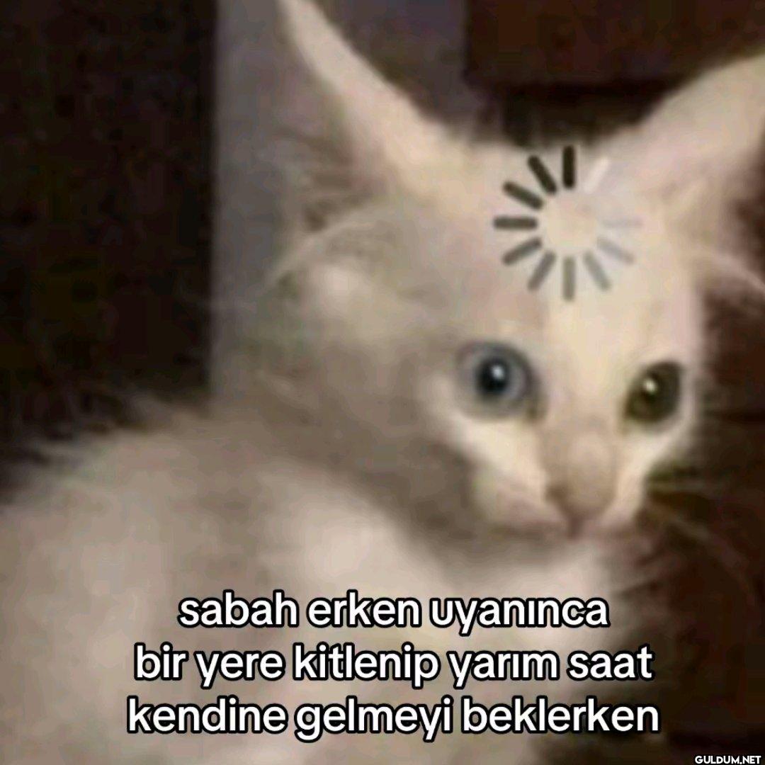 sabah erken uyanınca bir...