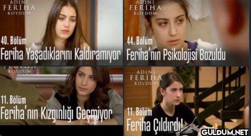 ADINI FERIHA KOYDUM ADINI...