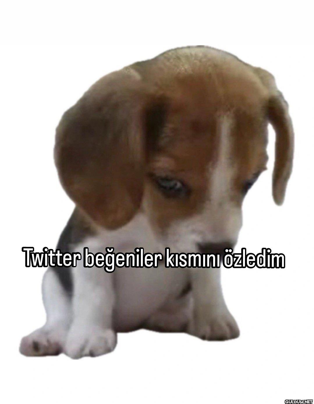 Twitter beğeniler kısmını özledim
