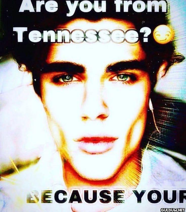 Are you from Tennessee?...