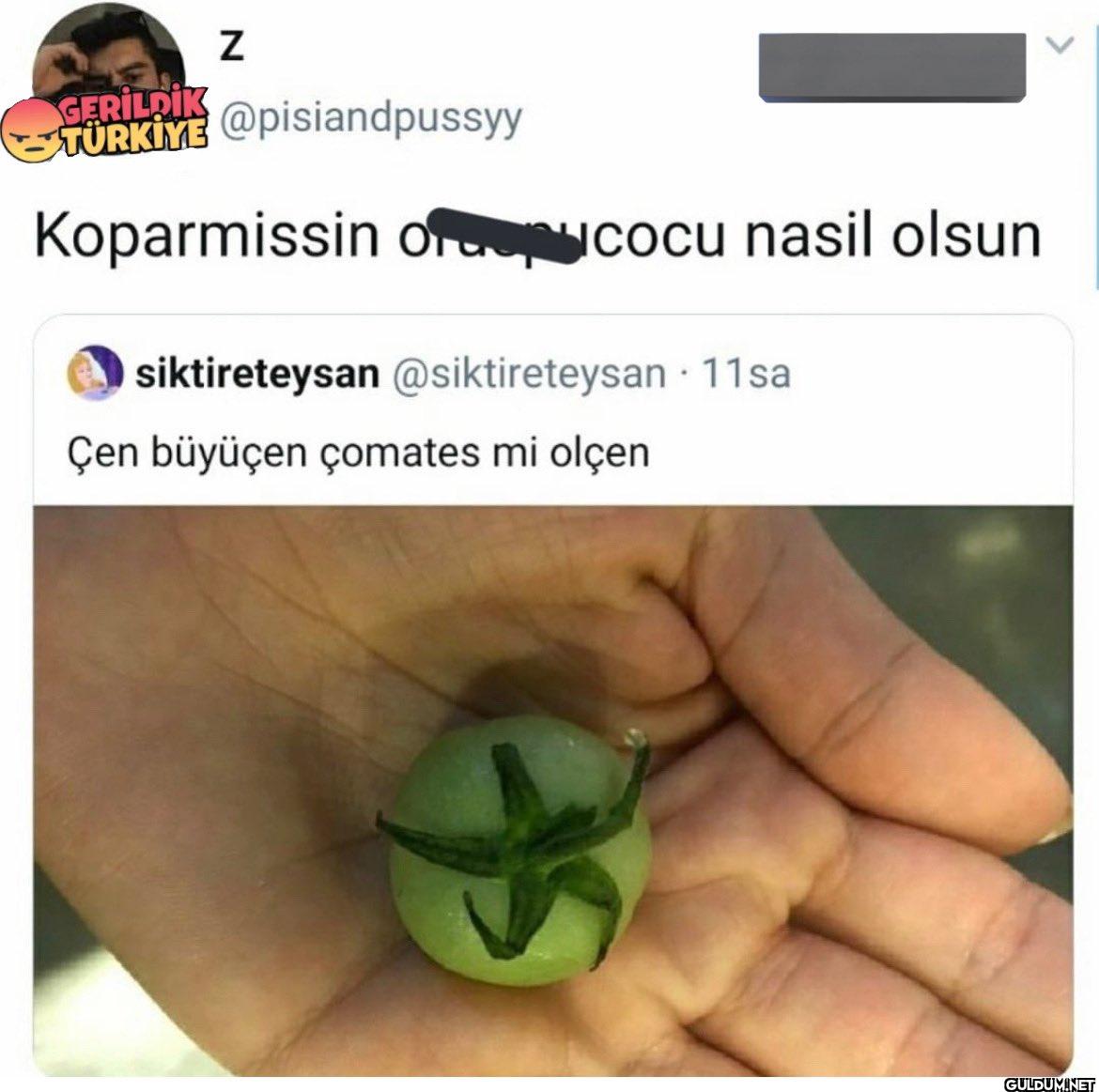 Koparmissin of pucocu...