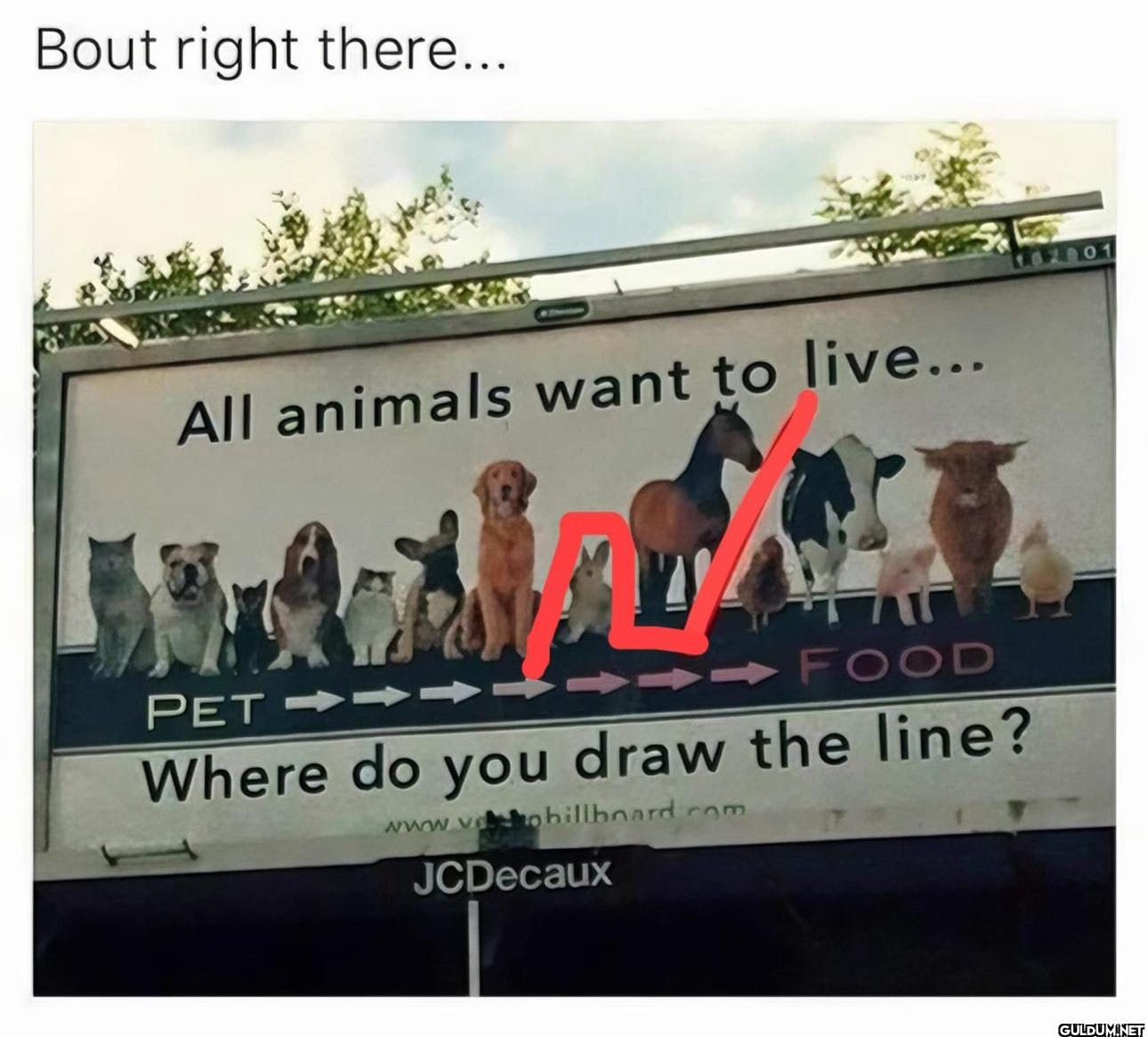 Bout right there... All...