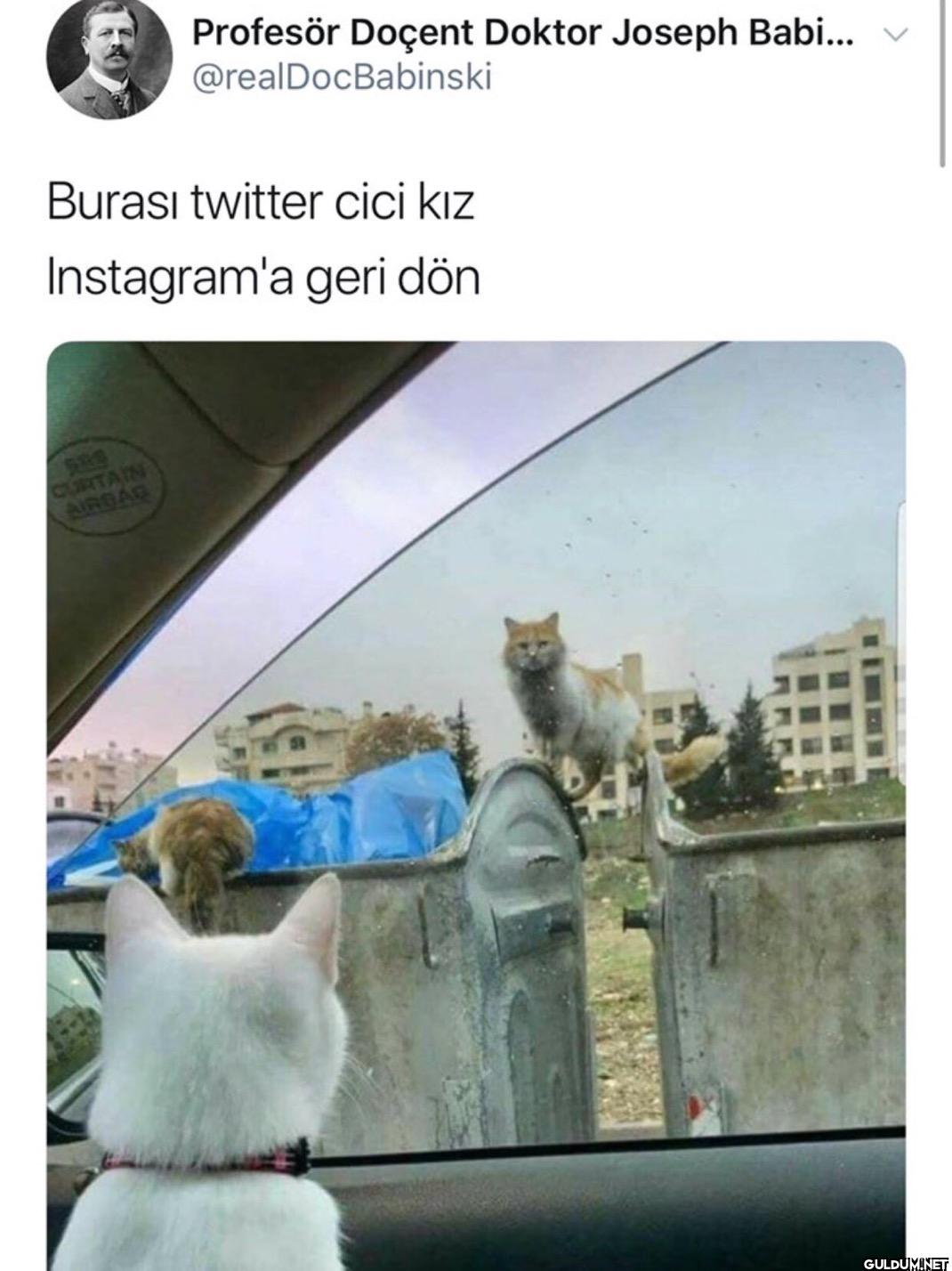 Profesör Doçent Doktor...