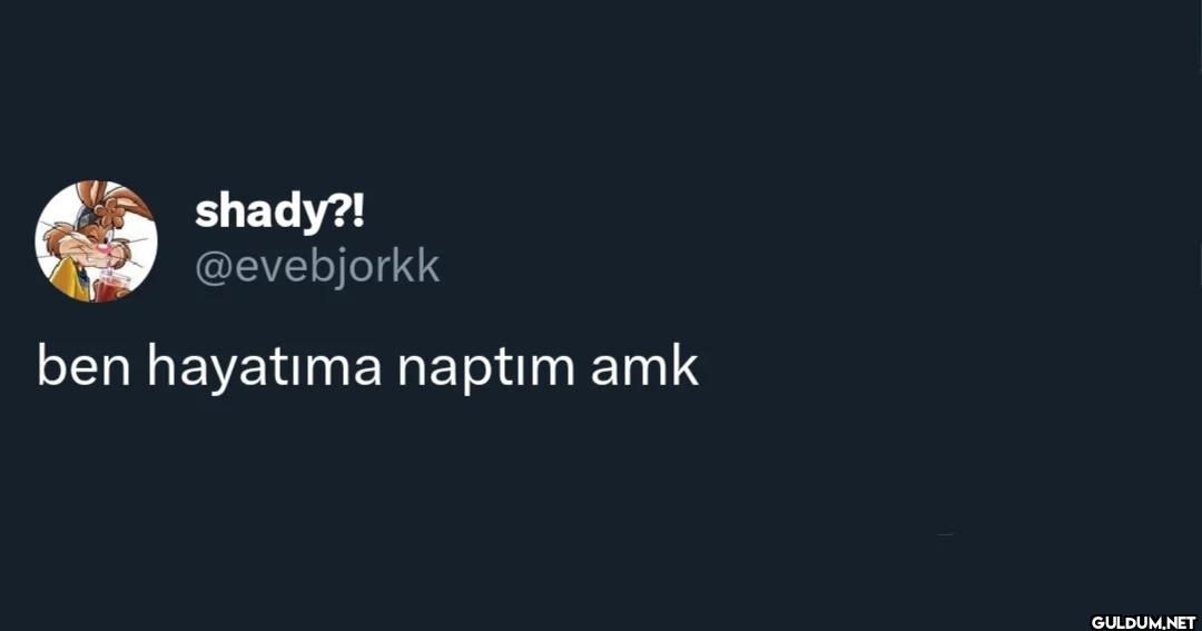 ben hayatıma naptim amk