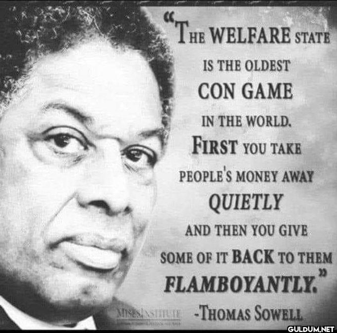 👇    THE WELFARE STATE IS...